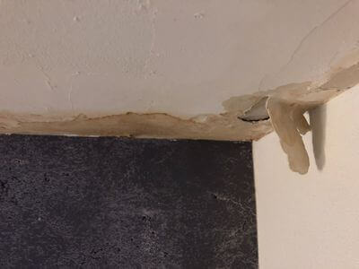 Professional water damage restoration services in Mobile - Essential Crew